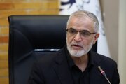 امنیت مراسم تشییع در عراق بر عهده دولت عراقی است/ در داخل کشور هیچ نگرانی امنیتی نداریم