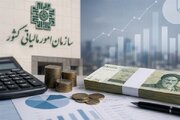 مدت زمان استرداد مالیات در استان فارس به کمتر از یک ماه کاهش یافت