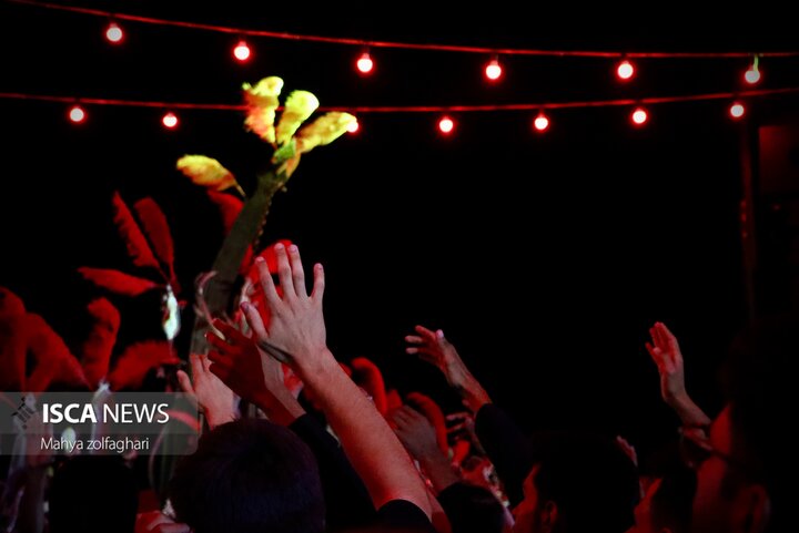 54
