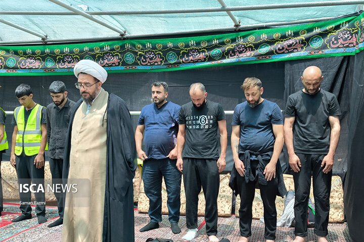 تمرچین