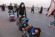 دانشجوبان سفیران دانش در مسیر اربعین می باشند