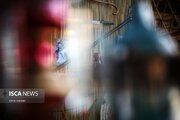 نقش ارادت به رهبر شهید انقلاب در مواکب اربعین