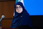 مهاجرانی: تردد از گذرگاه چیلات به عراق ۲۸ صفر آغاز می‌شود