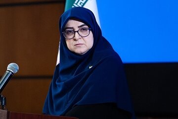 قول سخنگوی دولت برای پیگیری مسئله جابه‌جایی اموال هنرهای ملی