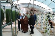 بازدید حجت الاسلام خسروپناه و دکتر رنجبر از کارخانه بذر هیبریدی واحد مجلسی