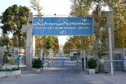 تولید واکسن در روزهای جنگ متوقف نشد/ اولویت با تأمین نیاز داخل و سپس صادرات منطقه‌ای