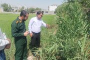 پیگیری تکمیل جداول کشاورزی روستای نرگاه در قالب اردوی جهادی