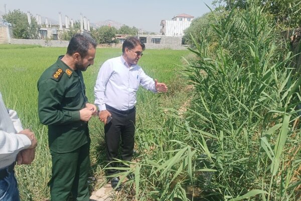 پیگیری تکمیل جداول کشاورزی روستای نرگاه در قالب اردوی جهادی