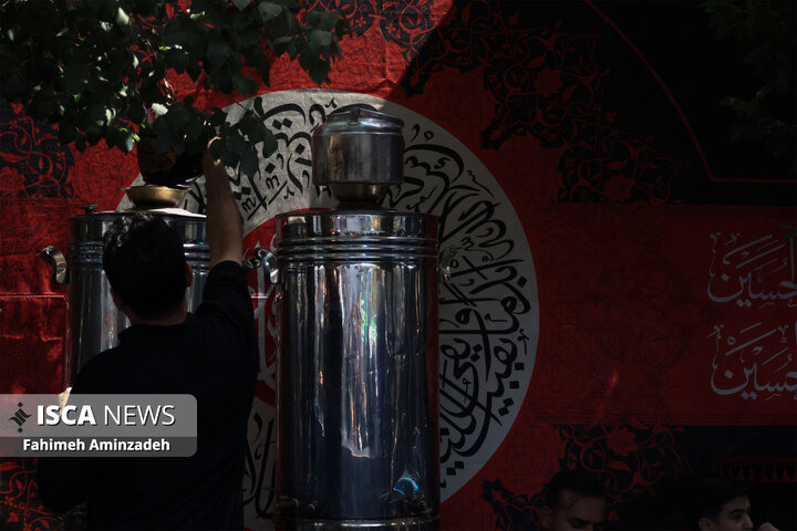 عزاداری و خدمت‌رسانی موکب‌ها در سالروز شهادت امام رضا(ع)