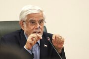عارف: شوراهای عالی نباید در امور اجرایی دانشگاه‌ها دخالت کنند