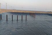 افزایش تولید میگو با اصلاح ساختار مزارع در بوشهر