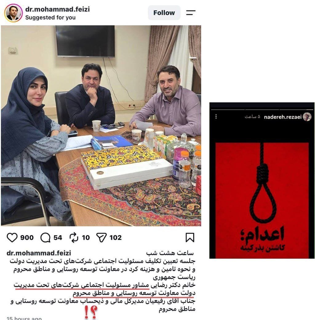 معاون معزول معاونت هنری ارشاد پست گرفت/ سمت جدید «نادره رضایی» در معاونت روستایی ریاست جمهوری