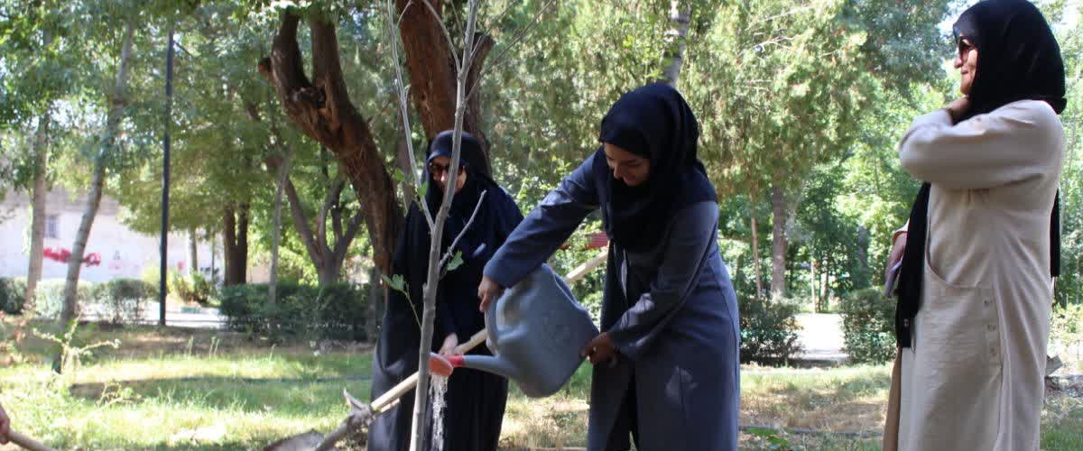 تقارن «وحدت» و «خدمت» در قاب طبیعت؛ ۵۰۰ نهال در ابهر غرس شد