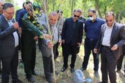 تقارن «وحدت» و «خدمت» در قاب طبیعت؛ ۵۰۰ نهال در ابهر غرس شد
