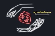 نشریه سیگما سازه؛ از معرفی گرایش‌های مهندسی پزشکی تا هدایت دانشجویان به سمت پژوهش و مقاله‌نویسی
