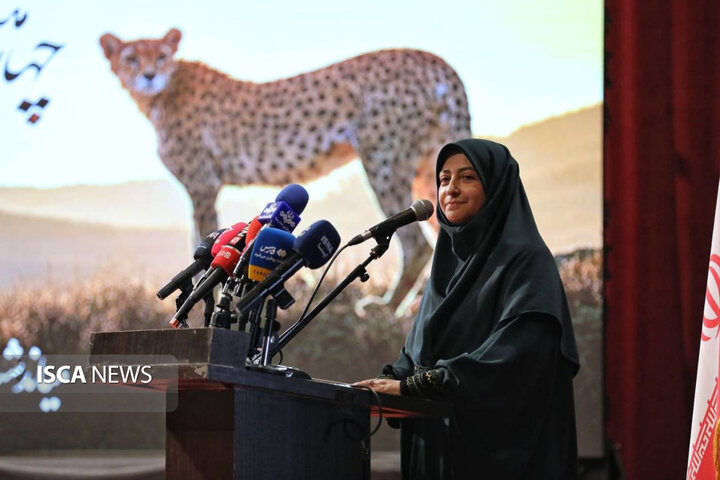 حفاظت از یوز آسیایی نباید با تغییر دولت‌ها متوقف شود