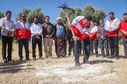 نخستین پایگاه تیپ یک امدادونجات جاده‌ای کرمانشاه در سرپل‌ذهاب احداث می‌شود