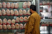 سرنوشت ۲۰ هزار تُن مرغ تاریخ‌مصرف‌گذشته چه شد؟