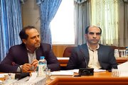 تولید بیش از ۵۵۰ هزار تن گندم در اردبیل/ خرید تضمینی ۲۳ هزار تن افزایش یافت