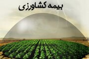 پوشش بیمه‌ای اراضی کشاورزی خوزستان طی ۵ سال بیش از دو برابر شد