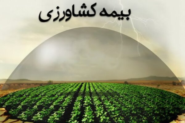 پوشش بیمه‌ای اراضی کشاورزی خوزستان طی ۵ سال بیش از دو برابر شد