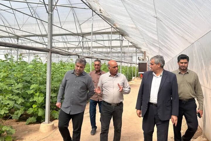 توسعه کشت‌های گلخانه‌ای؛ موتور محرک اشتغال و اقتصاد پایدار در روستاهای خرم‌دره