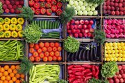 کشاورزی گلستان در مسیر فتح بازارهای منطقه‌ای