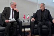 پزشکیان با رئیس جمهور سوئیس دیدار کرد
