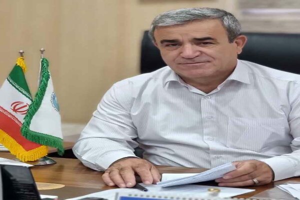 حکم اقامت اجباری برای ۶ متخلف قطع درختان در اردبیل صادر شد