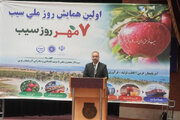 رشد ۲۵ درصدی تولیدات کشاورزی آذربایجان‌غربی/ توسعه زیرساخت‌های صادراتی در دستور کار
