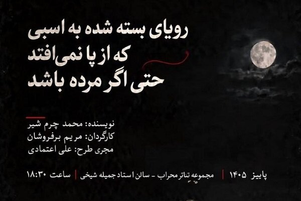 از رؤیای کریستف کلمب تا صحنه تئاتر؛ روایت هنرمندان کم‌بینا در سالن جملیه شیخی
