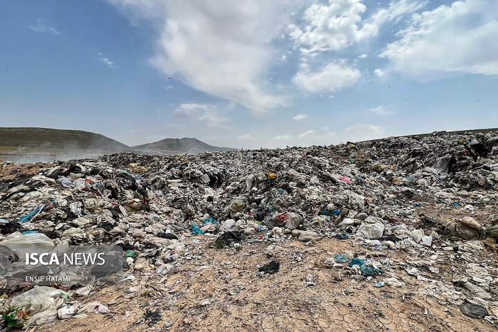 باباموسی قربانی پسماند
