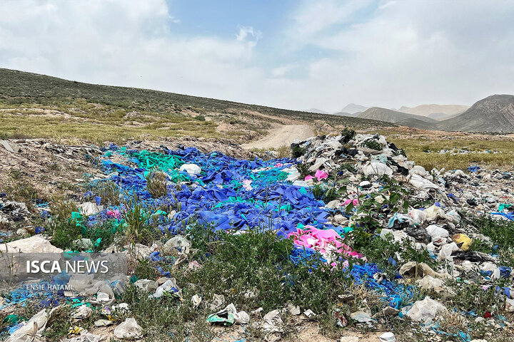 باباموسی قربانی پسماند