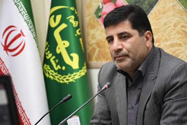 معاون وزیر: دهک‌های پایین با کالابرگ توانستند پروتئین بخرند