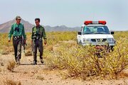 دست‌اندازی سودجویان به اراضی ملی ارسنجان ناکام ماند
