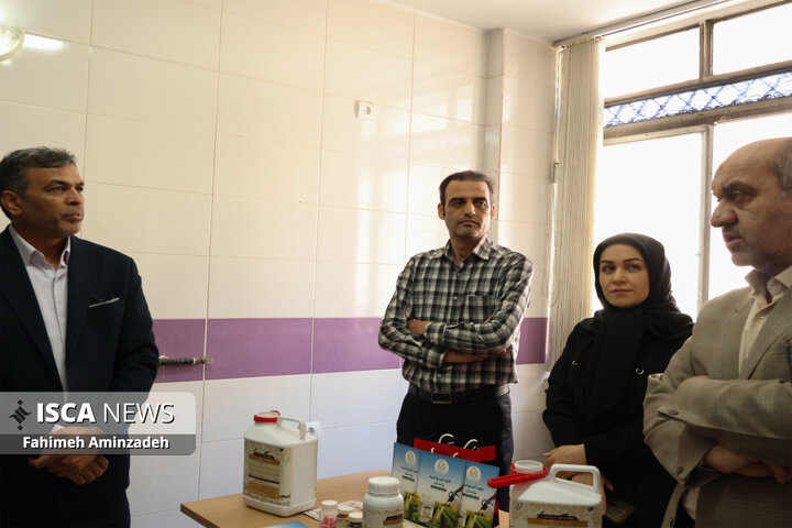 بازدید مدیرکل سراهای نوآوری دانشگاه آزاد اسلامی از واحدهای فناور مشهد