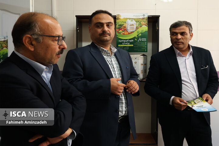 بازدید مدیرکل سراهای نوآوری دانشگاه آزاد اسلامی از واحدهای فناور مشهد