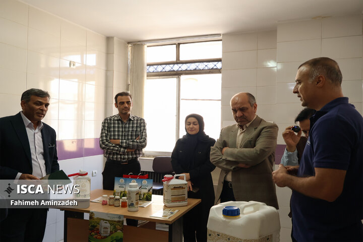 بازدید مدیرکل سراهای نوآوری دانشگاه آزاد اسلامی از واحدهای فناور مشهد