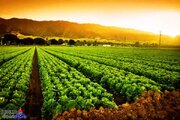 ​تأمین و توزیع به‌ موقع سوخت کشاورزی در استان اردبیل
