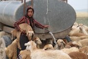 تحول در معیشت عشایر گچساران با احداث ۸۰ مخزن آب و بهسازی مسیرهای سخت‌گذر