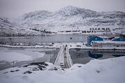 ترامپ از آغاز غارت نفت و گاز گرینلند خبر داد