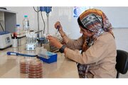 طراحی مکمل ژل پروبیوتیک برای روده تحریک‌پذیر در مرکز رشد دانشگاه آزاد واحد شهرکرد