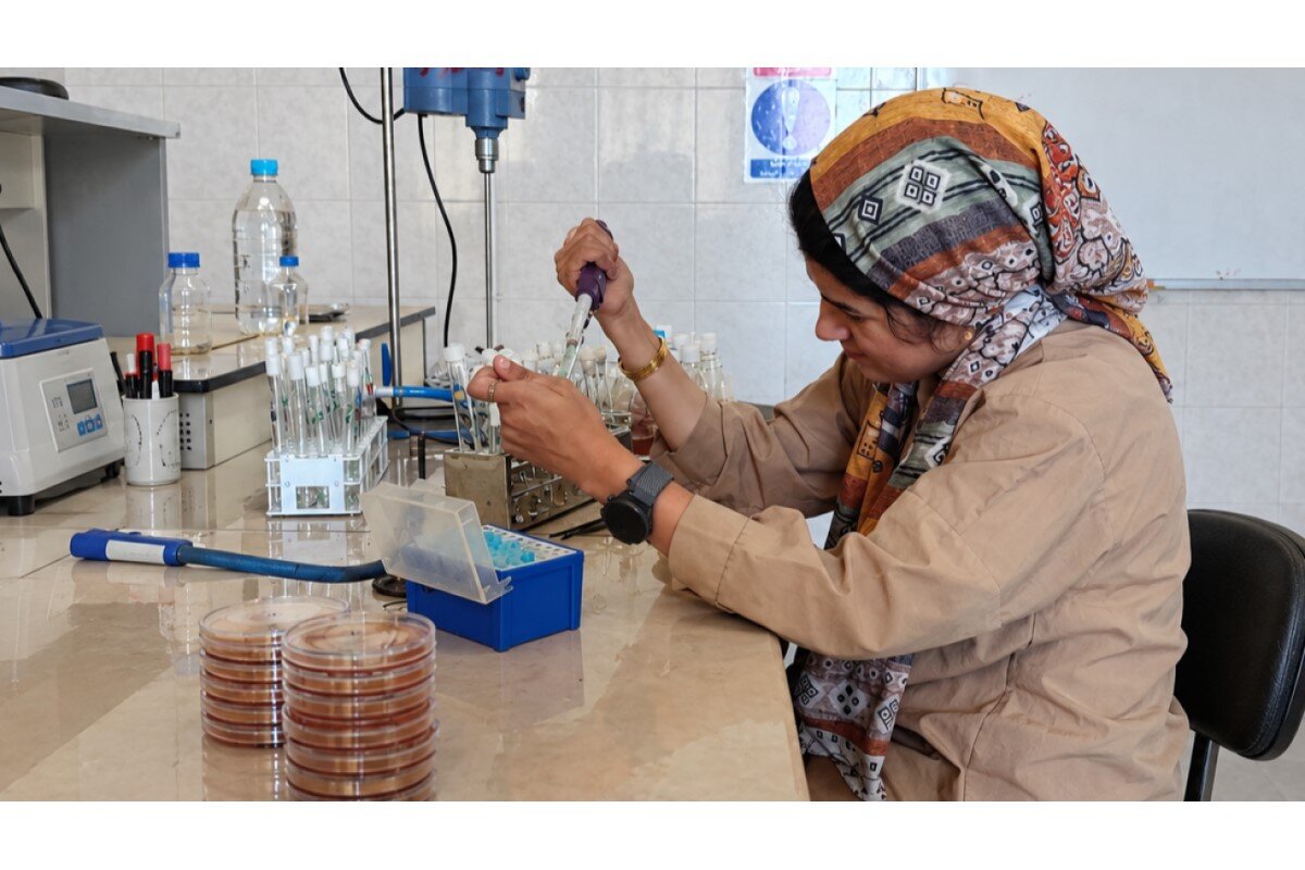 طراحی مکمل ژل پروبیوتیک برای روده تحریک‌پذیر در مرکز رشد دانشگاه آزاد واحد شهرکرد