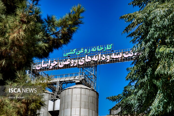کارخانه روغن
