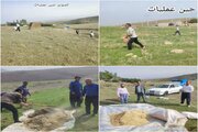 اجرای عملیات بیولوژیک در ۶۰ هکتار از مراتع استان اردبیل
