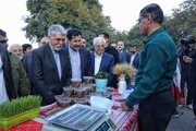 بازار روستایی ارکان؛ پیوند کتاب‌خوانی با رونق کسب‌وکارهای محلی