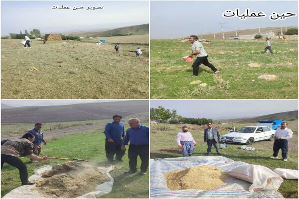 اجرای عملیات بیولوژیک در ۶۰ هکتار از مراتع استان اردبیل