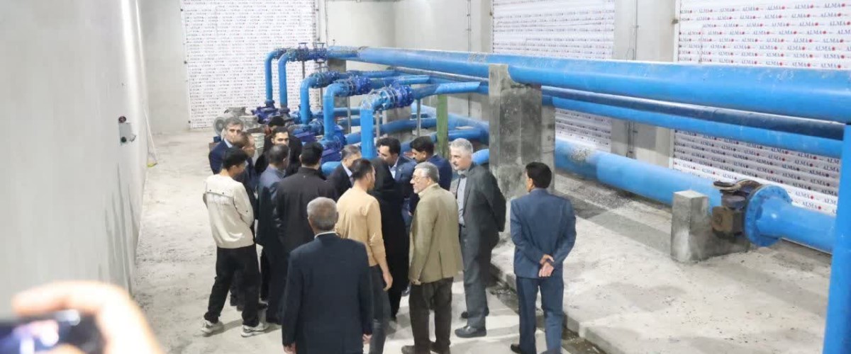افتتاح بزرگ‌ترین باغ یکپارچه زیتون کشور در طارم؛ گامی بلند در مسیر توسعه پایدار و اشتغال‌زایی در زنجان