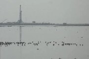 ۱۰۰ کارگروه ارزیابی زیست‌محیطی در خوزستان برگزار شد؛ بررسی ۱۴۷ طرح بزرگ