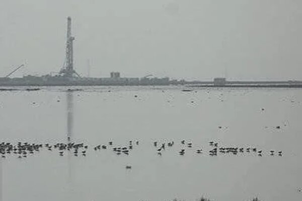 ۱۰۰ کارگروه ارزیابی زیست‌محیطی در خوزستان برگزار شد؛ بررسی ۱۴۷ طرح بزرگ